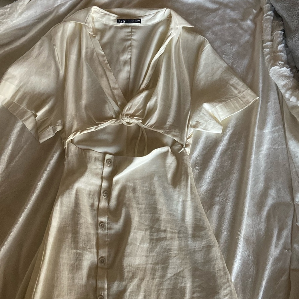 Zara dress